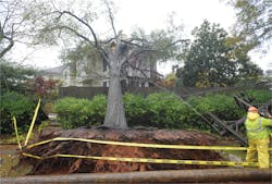 Tdworld Com Sites Tdworld com Files Uploads 2013 04 Sandy Crews Pepco Lines Tdworld Com Sites Tdworld com Files Uploads 2013 04 Sandy Crews Pepco Lines