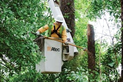 Tdworld Com Sites Tdworld com Files Uploads 2013 06 130328 Entergytreetrimmers 302 Tdworld Com Sites Tdworld com Files Uploads 2013 06 130328 Entergytreetrimmers 302