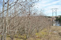 Tdworld Com Sites Tdworld com Files Uploads 2013 06 Dsc 0339 Plantation 69kv Tdworld Com Sites Tdworld com Files Uploads 2013 06 Dsc 0339 Plantation 69kv