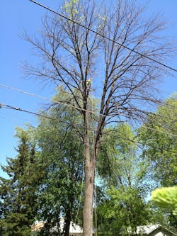 Tdworld Com Sites Tdworld com Files Uploads 2013 06 Img C Safety Tdworld Com Sites Tdworld com Files Uploads 2013 06 Img C Safety