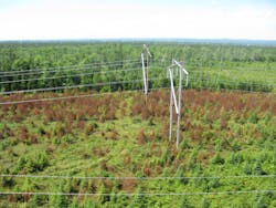 Tdworld Com Sites Tdworld com Files Uploads 2013 06 L6005 Aug 31 046 Softwood Tdworld Com Sites Tdworld com Files Uploads 2013 06 L6005 Aug 31 046 Softwood