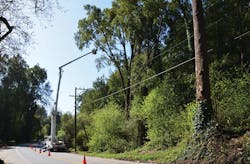 Tdworld Com Sites Tdworld com Files Uploads 2013 06 Pg E Tree Contractors Tdworld Com Sites Tdworld com Files Uploads 2013 06 Pg E Tree Contractors