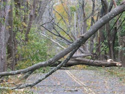 Tdworld Com Sites Tdworld com Files Uploads 2013 06 Storm Sandy 021 700 Tdworld Com Sites Tdworld com Files Uploads 2013 06 Storm Sandy 021 700