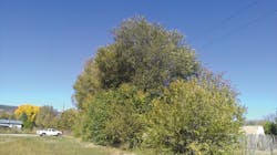 Tdworld Com Sites Tdworld com Files Uploads 2013 10 Tc Alcaldeelmb 3 Tdworld Com Sites Tdworld com Files Uploads 2013 10 Tc Alcaldeelmb 3