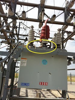 Beta Tdworld Com Sites Tdworld com Files Uploads 2013 11 Snake011 Beta Tdworld Com Sites Tdworld com Files Uploads 2013 11 Snake011