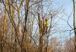 Tdworld Com Sites Tdworld com Files Uploads Ash Crews3 Tdworld Com Sites Tdworld com Files Uploads Ash Crews3