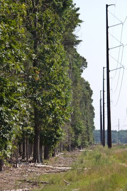 Tdworld Com Sites Tdworld com Files Uploads 2014 06 Herbicide Application Checklist Tdworld Com Sites Tdworld com Files Uploads 2014 06 Herbicide Application Checklist