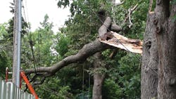 Tdworld Com Sites Tdworld com Files Uploads 2014 06 Splittreeonwires Tdworld Com Sites Tdworld com Files Uploads 2014 06 Splittreeonwires