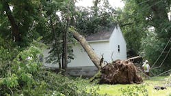 Tdworld Com Sites Tdworld com Files Uploads 2014 06 Treewiresandlineman Tdworld Com Sites Tdworld com Files Uploads 2014 06 Treewiresandlineman