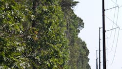 Beta Tdworld Com Sites Tdworld com Files Tdwfaqarticle08182014 Beta Tdworld Com Sites Tdworld com Files Tdwfaqarticle08182014