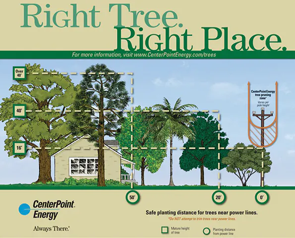 Right Tree, Right Place | T&D World