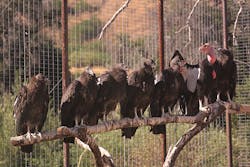 Tdworld Com Sites Tdworld com Files Uploads 2014 12 Img 7036 Tdworld Com Sites Tdworld com Files Uploads 2014 12 Img 7036