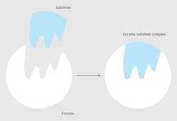 Tdworld Com Sites Tdworld com Files Uploads 2015 03 In Biology The Active Site Is The Custom Fitting Link 20150401 Tdworld Com Sites Tdworld com Files Uploads 2015 03 In Biology The Active Site Is The Custom Fitting Link 20150401