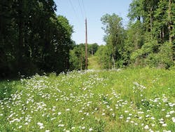 Tdworld Com Sites Tdworld com Files Uploads 2015 06 Photo5 Tdworld Com Sites Tdworld com Files Uploads 2015 06 Photo5