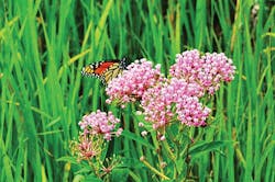 Tdworld Com Sites Tdworld com Files Uploads 2015 06 Photo8 Tdworld Com Sites Tdworld com Files Uploads 2015 06 Photo8