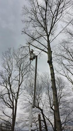 Tdworld Com Sites Tdworld com Files Uploads 2015 07 Jarafe Tdworld Com Sites Tdworld com Files Uploads 2015 07 Jarafe