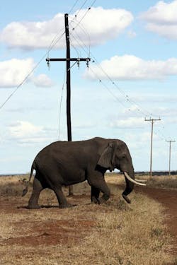 Tdworld Com Sites Tdworld com Files Uploads 2015 09 Photo 2 0 Tdworld Com Sites Tdworld com Files Uploads 2015 09 Photo 2 0