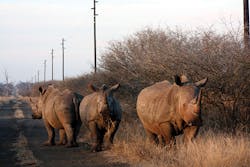 Tdworld Com Sites Tdworld com Files Uploads 2015 09 Photo 3 0 Tdworld Com Sites Tdworld com Files Uploads 2015 09 Photo 3 0