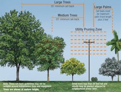 Tdworld Com Sites Tdworld com Files Uploads 2015 06 Tree Setback Tdworld Com Sites Tdworld com Files Uploads 2015 06 Tree Setback