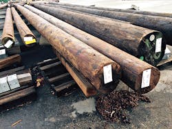 Tdworld Com Sites Tdworld com Files Uploads 2016 03 El Nino Westminster Utility Poles Tdworld Com Sites Tdworld com Files Uploads 2016 03 El Nino Westminster Utility Poles