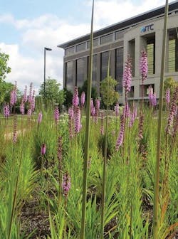 Tdworld Com Sites Tdworld com Files Uploads 2016 05 18 H Qweb 0 Tdworld Com Sites Tdworld com Files Uploads 2016 05 18 H Qweb 0