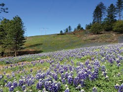 Tdworld Com Sites Tdworld com Files Uploads 2016 05 20 Pg Erowweb Tdworld Com Sites Tdworld com Files Uploads 2016 05 20 Pg Erowweb