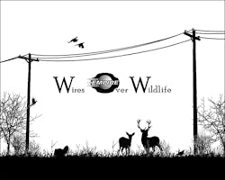 Tdworld Com Sites Tdworld com Files Uploads 2016 05 Wiresover Wildlifeweb