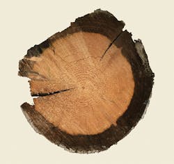 Tdworld Com Sites Tdworld com Files Uploads 2016 12 21 Fin Fig2final 0 Tdworld Com Sites Tdworld com Files Uploads 2016 12 21 Fin Fig2final 0