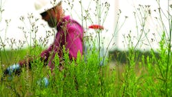 Beta Tdworld Com Sites Tdworld com Files Uploads 2016 04 Topphoto A071 C023 010278 0000207 Beta Tdworld Com Sites Tdworld com Files Uploads 2016 04 Topphoto A071 C023 010278 0000207