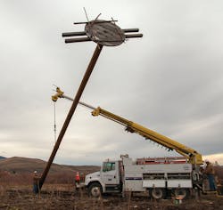 Www Tdworld Com Sites Tdworld com Files Bird Photo4 Final Www Tdworld Com Sites Tdworld com Files Bird Photo4 Final