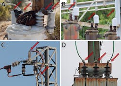 Www Tdworld Com Sites Tdworld com Files Edm Birds Fig03group Final Www Tdworld Com Sites Tdworld com Files Edm Birds Fig03group Final