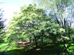 Www Tdworld Com Sites Tdworld com Files Uaa 44 Fig2 Sumac Final Www Tdworld Com Sites Tdworld com Files Uaa 44 Fig2 Sumac Final