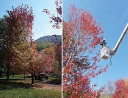 Www Tdworld Com Sites Tdworld com Files Uaa 45 Figs2ab Final Www Tdworld Com Sites Tdworld com Files Uaa 45 Figs2ab Final