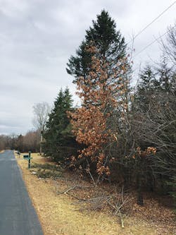 Www Tdworld Com Sites Tdworld com Files Uaa 46 Fig1 Final Www Tdworld Com Sites Tdworld com Files Uaa 46 Fig1 Final