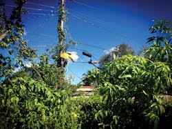 Www Tdworld Com Sites Tdworld com Files Hs 43 Myr 42 Irma Esboulos005 Final Www Tdworld Com Sites Tdworld com Files Hs 43 Myr 42 Irma Esboulos005 Final