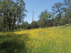 Www Tdworld Com Sites Tdworld com Files Uaa 18 50 Image6 Final Www Tdworld Com Sites Tdworld com Files Uaa 18 50 Image6 Final