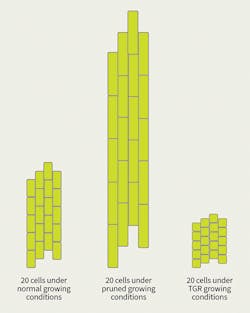 Www Tdworld Com Sites Tdworld com Files Tgr 807 Cell Growth Final Www Tdworld Com Sites Tdworld com Files Tgr 807 Cell Growth Final