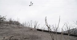 Www Tdworld Com Sites Tdworld com Files Hu 24 809 Fig4 Not Treatedpole Destruction Www Tdworld Com Sites Tdworld com Files Hu 24 809 Fig4 Not Treatedpole Destruction