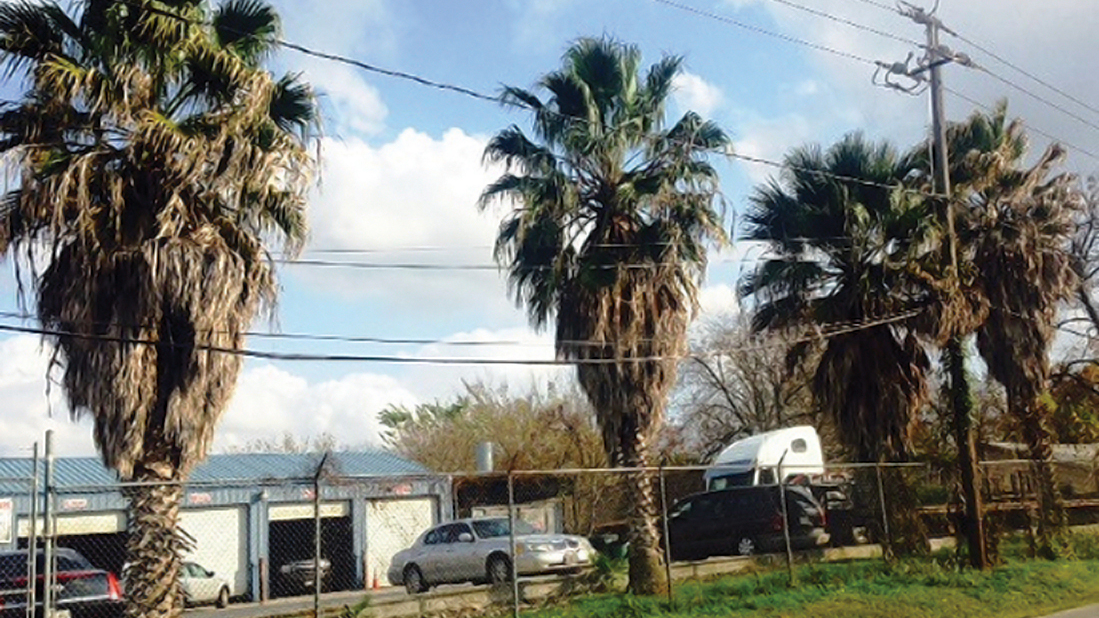 CenterPoint Energy, hazard trees