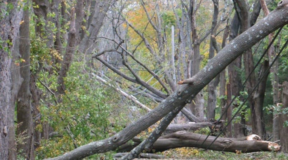 Over the past two years, severe storms in southern New England have struck while many trees were in full leaf, causing extensive damage to Connecticut Light &amp; Power&rsquo;s system.