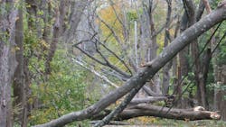 Sandy damage Sandy damage