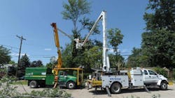 Tree trimming with DTE Energy Tree trimming with DTE Energy