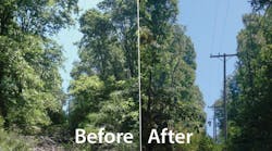 Targeted tree removal coupled with the pruning of overhanging limbs.
