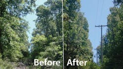 PGE Focuses on Public Safety Prevention of TreeCaused Power Outages and Fire PGE Focuses on Public Safety Prevention of TreeCaused Power Outages and Fire