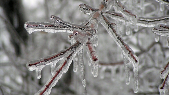 ice storm