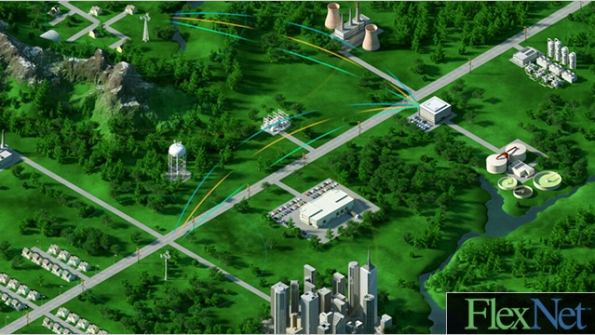 Flexnet