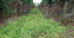 CAVM9VEGM051_TDW-Content-Sponsorship_Selective-Brush-control_1540x800_2MB.jpg CAVM9VEGM051_TDW-Content-Sponsorship_Selective-Brush-control_1540x800_2MB.jpg