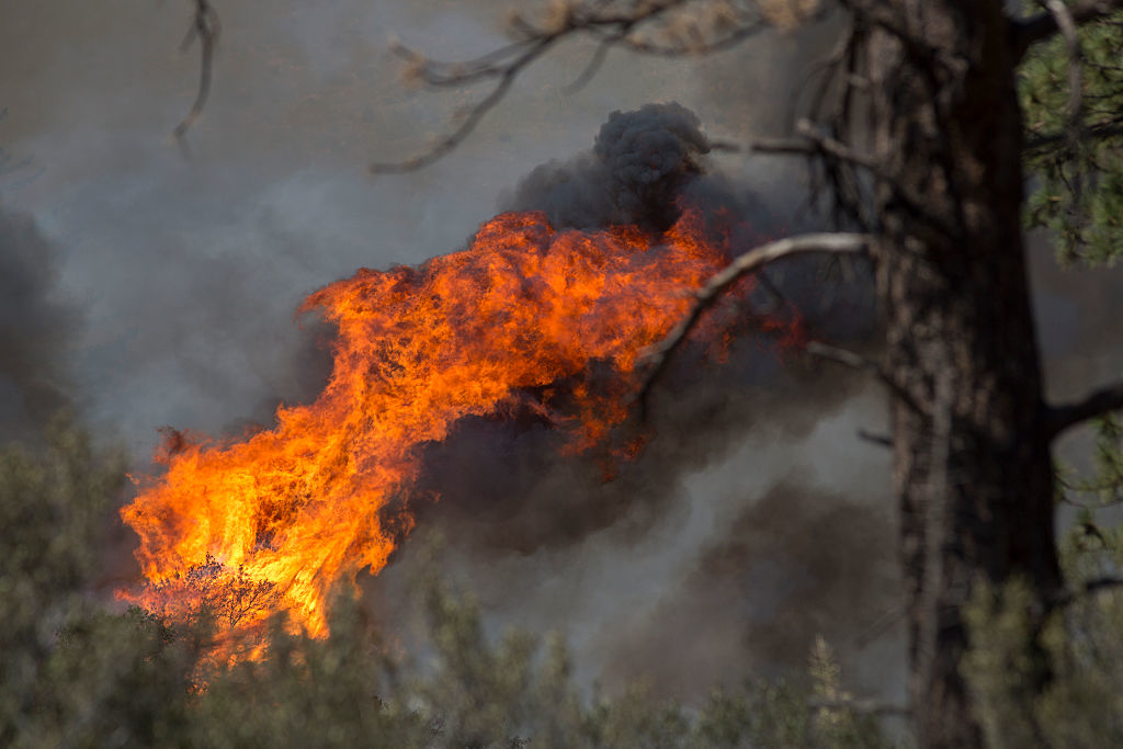 A representational image of a wildfire
