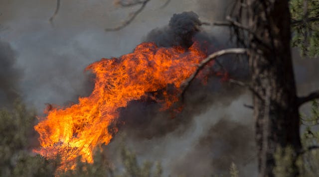 Tdworld 18055 Wildfire Getty