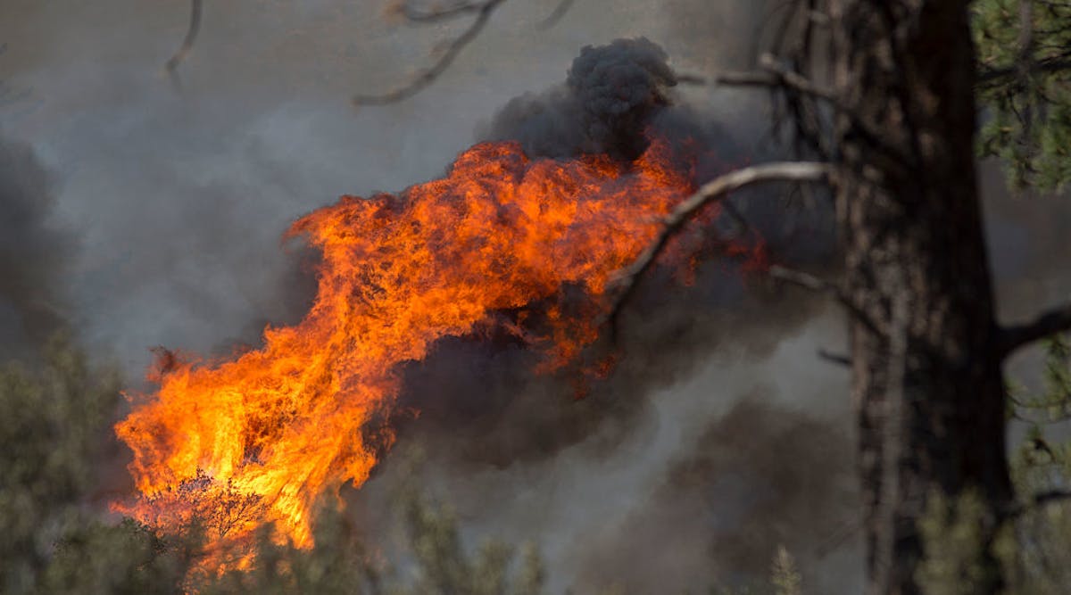 Tdworld 18055 Wildfire Getty